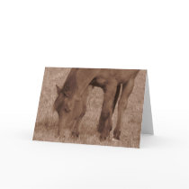 Horse Photograph in Sepia Cards