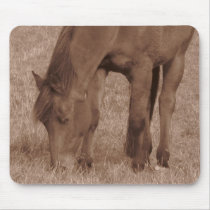 Horse Photograph in Sepia Mousepad