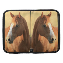 Horse picture folio planner