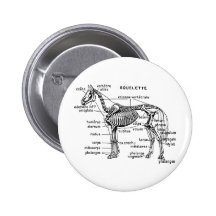 Horse Pinback Button