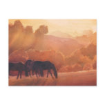 "Horse Point" Horse Landscape Watercolor Post Cards