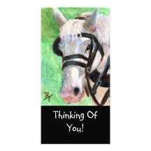 Horse Portrait Photo Card