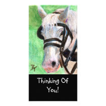 Horse Portrait Photo Card