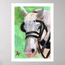 Horse Portrait Poster