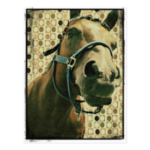 Horse Post Card