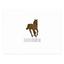 Horse Postcard