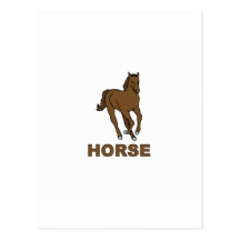 Horse Postcard