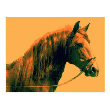 Horse Postcards