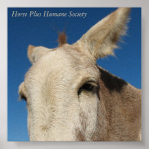 Horse Poster
