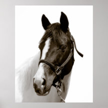 Horse Print