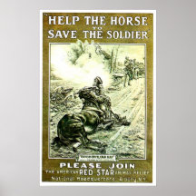 Horse - Print