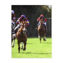 Horse Racing Field Postcard
