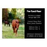 Horse ranch or Farm Supply Business Cards
