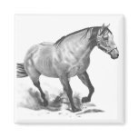 HORSE: REALISM PENCIL ART FRIDGE MAGNET