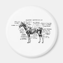 Horse Refrigerator Magnets