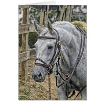 Horse Rescue Greeting Card