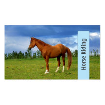 Horse riding, beautiful business card