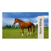 Horse riding, beautiful business card