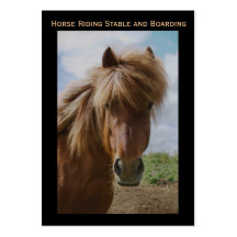 Horse Riding Stable and Boarding Business Card
