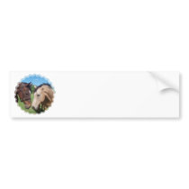 Horse Romance Bumper Sticker