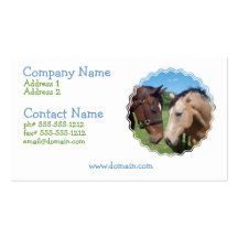 Horse Romance Business Card