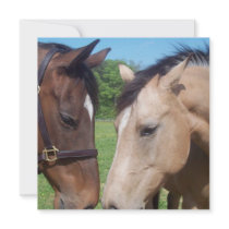 Horse Romance Invitation