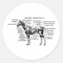 Horse Round Stickers