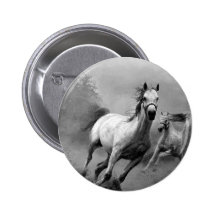 Horse Running Button