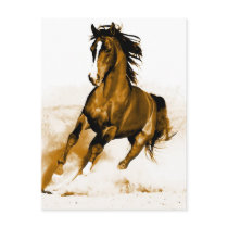 Horse Running Post Card