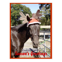 Horse Season's Greetings Post Cards