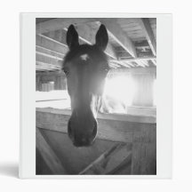 Horse Sense/Barn Horse 3 Ring Binder