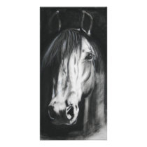 Horse sense photo card