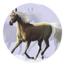 Horse Shadow Round Stickers
