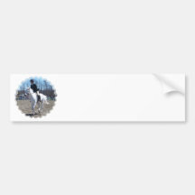 Horse Show Bumper Sticker