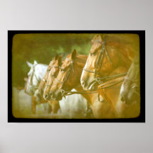 Horse Show Lineup Print