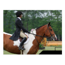 Horse Show Ring  Postcard
