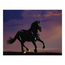 Horse silhouette galloping free at sunset personalized invitation