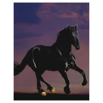 Horse silhouette galloping free at sunset letterhead design