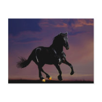 Horse silhouette galloping free at sunset postcards