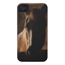 Horse Silhouetted in Barn Stall iPhone 4 Case-Mate Cases