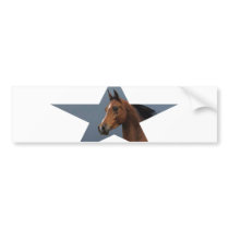 Horse Star Design bumper stickers