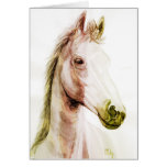 horse study card