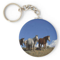 Horse Trio keychains