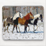 Horse Trio Mousepad