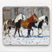 Horse Trio usepad