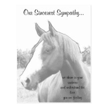Horse Veterinarian Sympathy Postcards