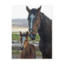 Horse with foal postcard