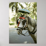 Horse with sunshade, Madrid, Spain Poster