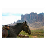 Horseback business cards