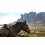 Horseback photo sculpture